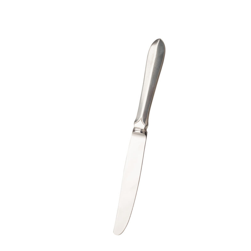 Hammerlund Kniv m/rustfritt blad 22cm - Bilde 2