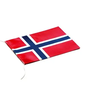Haugrud Flagg 14x19 cm
